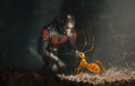 Wallpaper Ant Costume Helmet Superhero Comic Marvel Ant Man Ant