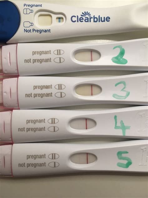 Is There A Pregnancy Test That Shows Hcg Levels Pregnancywalls