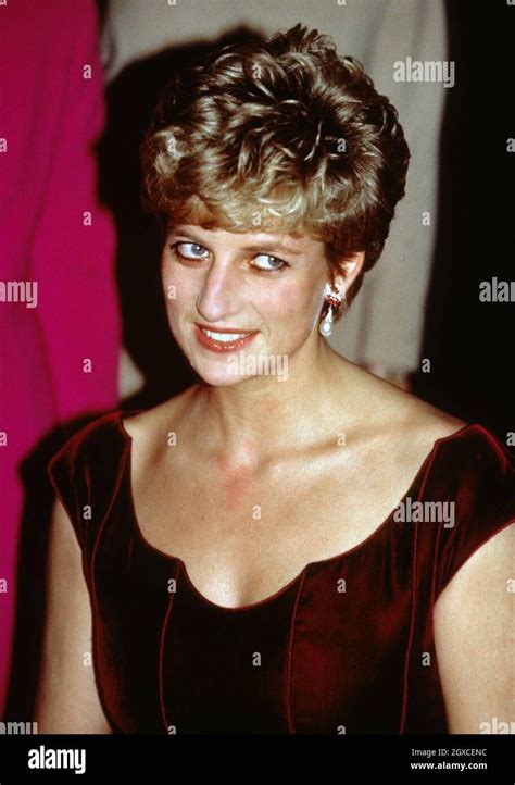 Princessdiana1993 Hi Res Stock Photography And Images Alamy In 2023