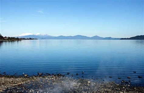 Viagogo.com has been visited by 100k+ users in the past month Things you can do in Lake Taupo | Going NZ