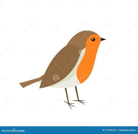 Cute Robin Bird Stock Vector Illustration Of Creative 171447227