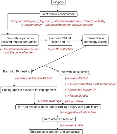 Hip Pain Differential Diagnosis Flow Chart Used In Exam Open I