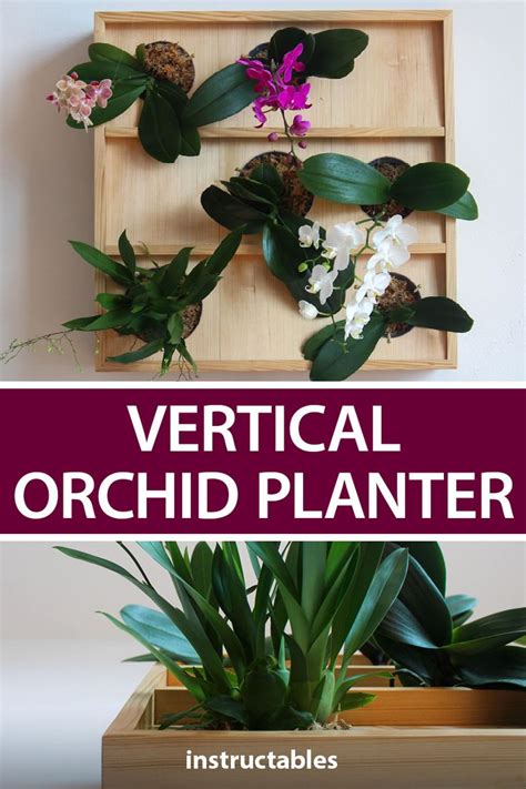 Vertical Orchid Planter In Wooden Box With Purple And White Flowers