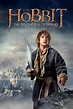The Hobbit 2 Movie Poster