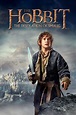 The Hobbit: The Desolation of Smaug (2013) - Posters — The Movie ...