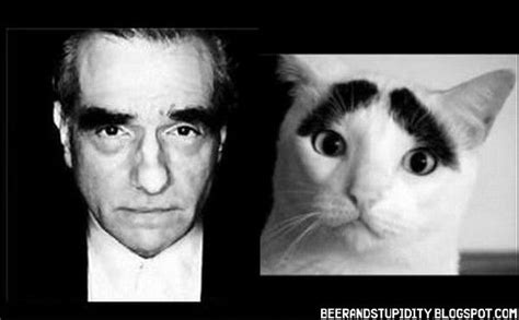Boredom Crusher Famous People And Their Cat Look Alikes Oscar 2012