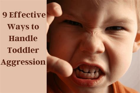 9 Effective Ways To Handle Toddler Aggression 9 Effective Ways To