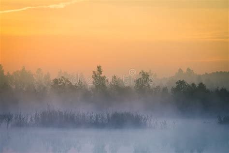 A Beautiful Colorful Landscape Of A Misty Swamp During The Sunrise
