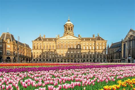 24 top rated tourist attractions in amsterdam planetware