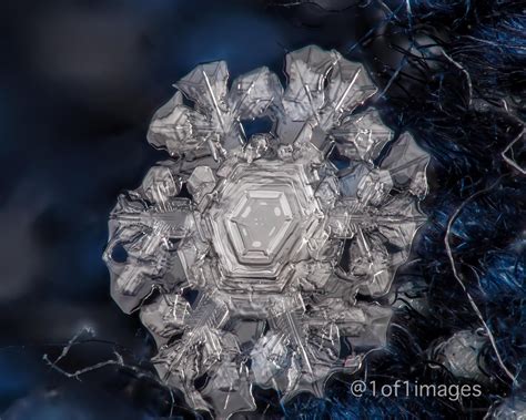 I Was Able To Capture An Incredible Snow Crystal On Blue Fabric And