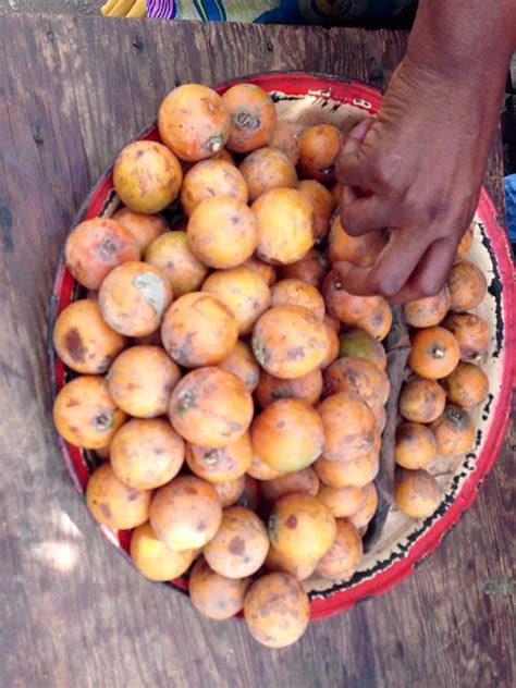 flickriver photoset agbalumo african star apple by jujufilms