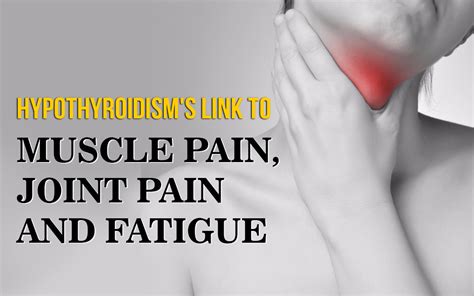 Relation Between Hypothyroidism And Knee Pain Landmark Hospitals