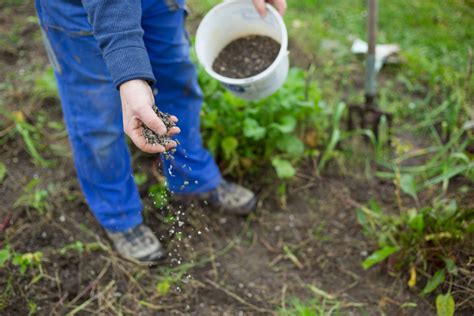 D Ngen Im Garten So Geht S Richtig Tipps Tricks