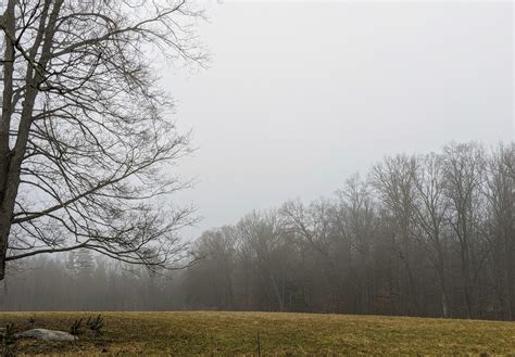 A Foggy And Cloudy Winter Morning The Martha Stewart Blog