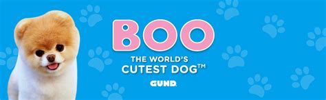 Gund Boo The Worlds Cutest Dog Boo And Friends Collection Yorkie Puppy