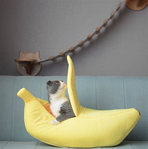 Buy banana cat bed online and save! 4 Colors Cute Banana Peel Cat House | Cat bed, Dog pet ...