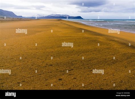 Rauðisandur Red Sand Beach Westfjords Iceland Stock Photo Alamy