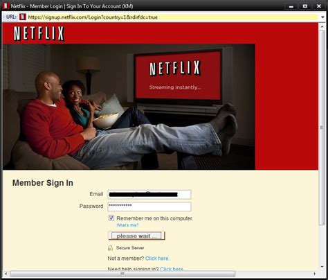 Netflix Log In Problem