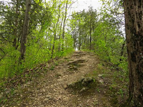 Maybe you would like to learn more about one of these? The Park Next Door - Wehmhoff Woodland Preserve ...