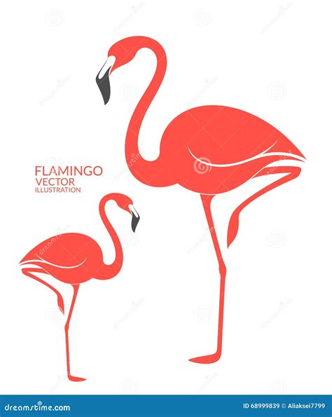 Flamingo Stock Vector Illustration Of Pink Symbol Wildlife 68999839
