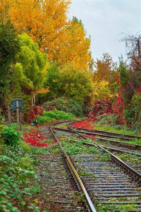 Railroad Tracks Along Colorful Autumn Foliage Trees Stock Image Image