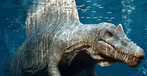 Top 12 Most Ferocious Marine Dinosaurs Dinosaur Universe
