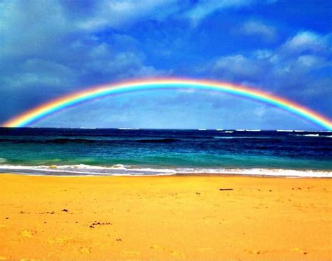 Ocean Defender Hawaiian Rainbow Maui Scenery