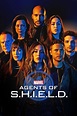 Buy Agents of SHIELD - Season 6 Online | Sanity