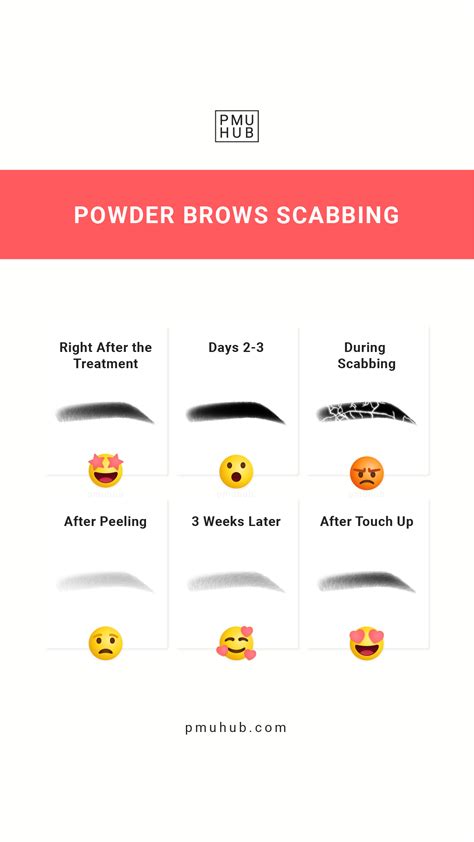 Powder Brows Scabbing Explained In Detail Brows Tattoo Healing