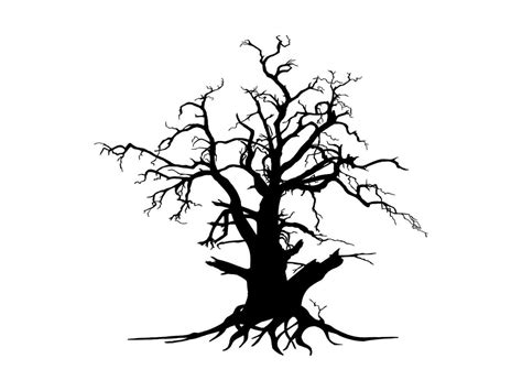 Black Branch Tree Or Naked Trees Silhouettes Hand Drawn Isolated