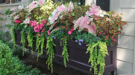 How To Create The Perfect Balcony Planter Gelderman Landscape Services