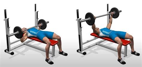 Flat Barbell Bench Press 10 Most Important Middle Chest Exercises Pinterest Male Chest
