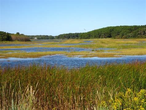 Wellfleet Bay Wildlife Sanctuary Updated 2021 All You Need To Know