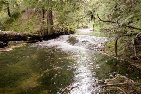 Langfield Falls One Of The Best Ford Pinchot National Forest Hikes