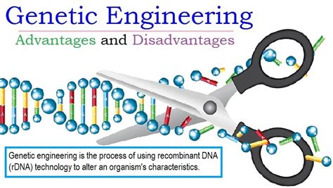 Applications Of Genetic Engineering Advantages And Disadvantages In