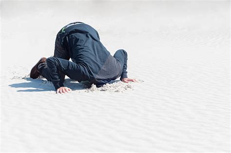 Head In The Sand Stock Photos Pictures And Royalty Free Images Istock