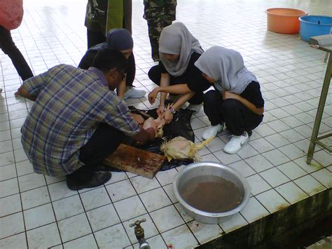 Mengambil maklum isu berkenaan, semalam pihak pejabat islam daerah kuantan tampil menegaskan beberapa fakta penting yang wajar diberikan perhatian. BAHAGIAN HAL EHWAL PELAJAR & ALUMNI UCSA: KURSUS ASAS ...