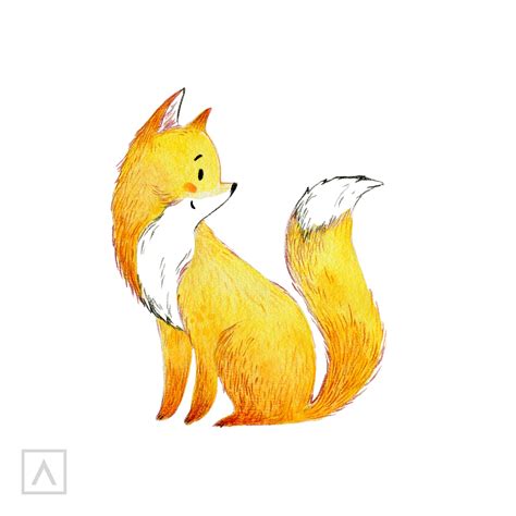 How To Draw A Realistic Fox In 7 Steps — Guide Arteza