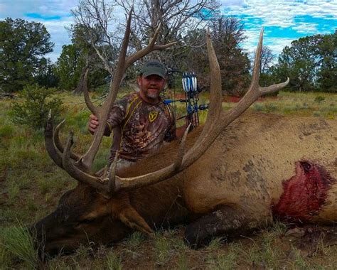 Trophy Bull Elk Hunting New Mexico Bmo Hunts