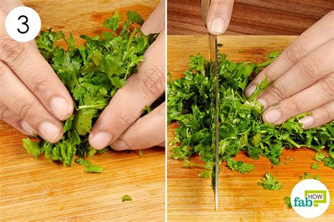 In this article, learn how cilantro may improve health, how to use it in dishes, and who should avoid it. How to Chop Cilantro the Best Way: Easily and Safely | Fab How