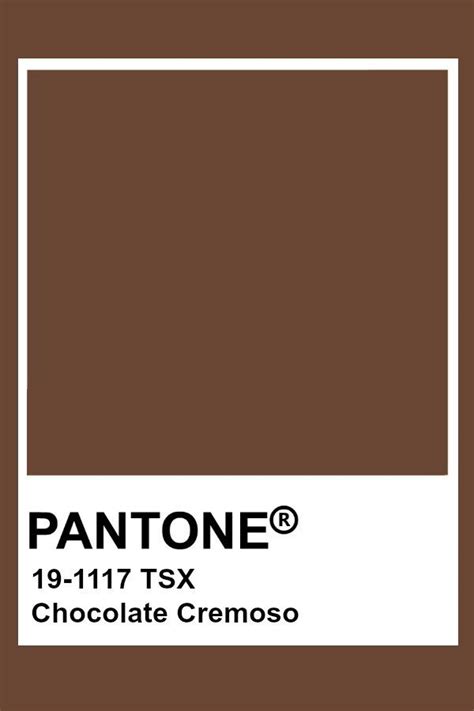 Pantone S Chocolate Cremeo Is Shown In The Color Brown And White