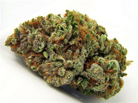 Gorilla Glue Strain Information And Reviews Wheres Weed
