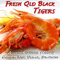 Fresh Qld Black Tigers Capalaba Aussie Seafood House