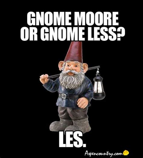 Gnome Moore Or Gnome Less Les Gnomes Funny Gnomes Funny Garden Gnomes