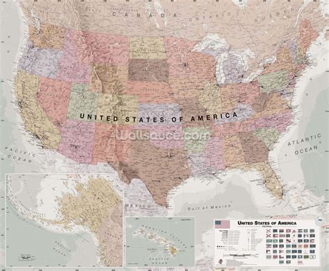 Usa Political Map Neutral Colours Wallpaper Wallsauce Us
