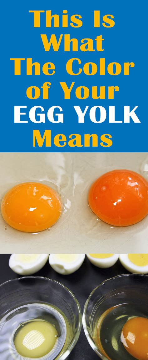 This Is What The Color Of Your Egg Yolk Means