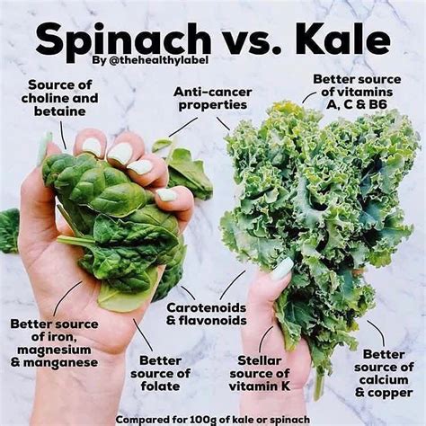 Vegetarian On Instagram “spinach Vs Kale Have You Ever Wondered
