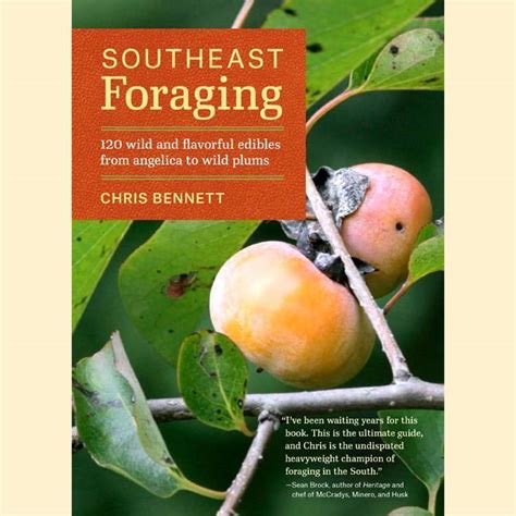 Books Southeast Foraging In 2020 Edible Wild Plants