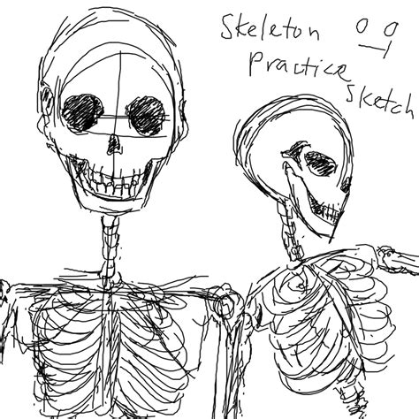 Skeleton Practice Sketch 1 By Mimidan On Deviantart
