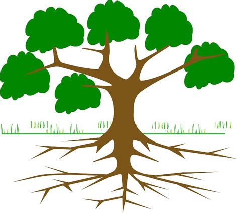 Download Tree Branches Root Royalty Free Vector Graphic Blank Family Tree Family Tree Tree
